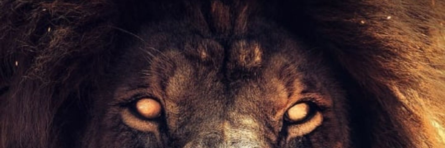 Princeboykiang's profile banner image