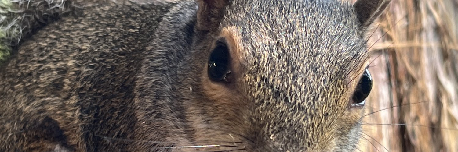 OldeBaer's profile banner image