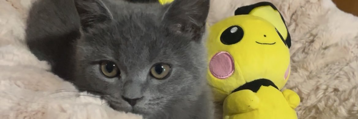yutndy's profile banner image