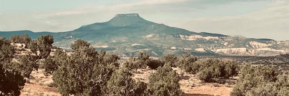karmarocca's profile banner image