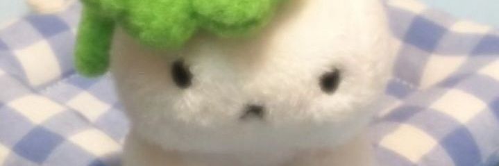 praxw_6's profile banner image