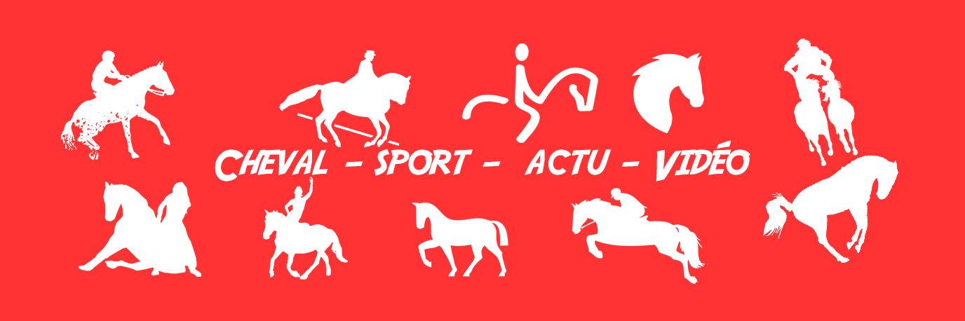ActuCheval's profile banner image