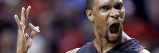 Bosh Roar Face banner