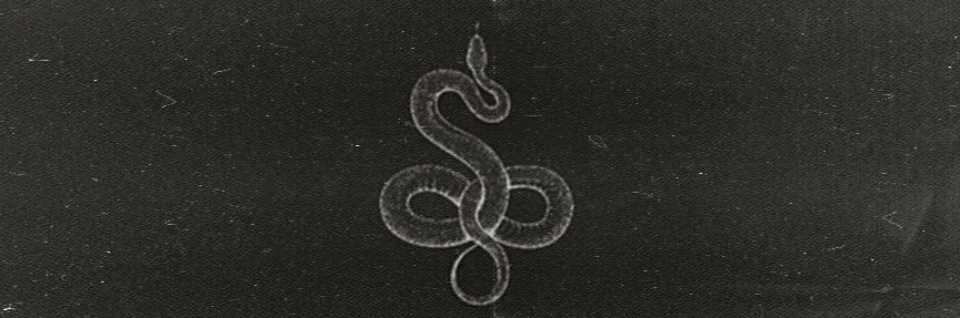 ── .✦ 𝐓𝐇𝐄 𝐒𝐍𝐀𝐊𝐄 banner