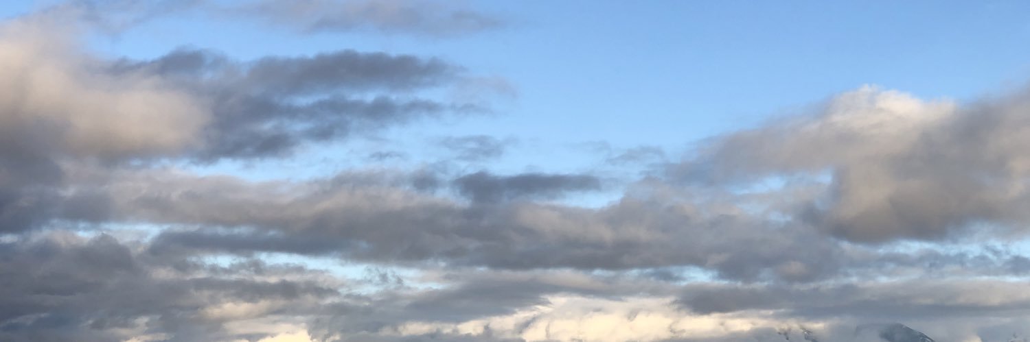 Elisa Sguazzin Hendricks banner