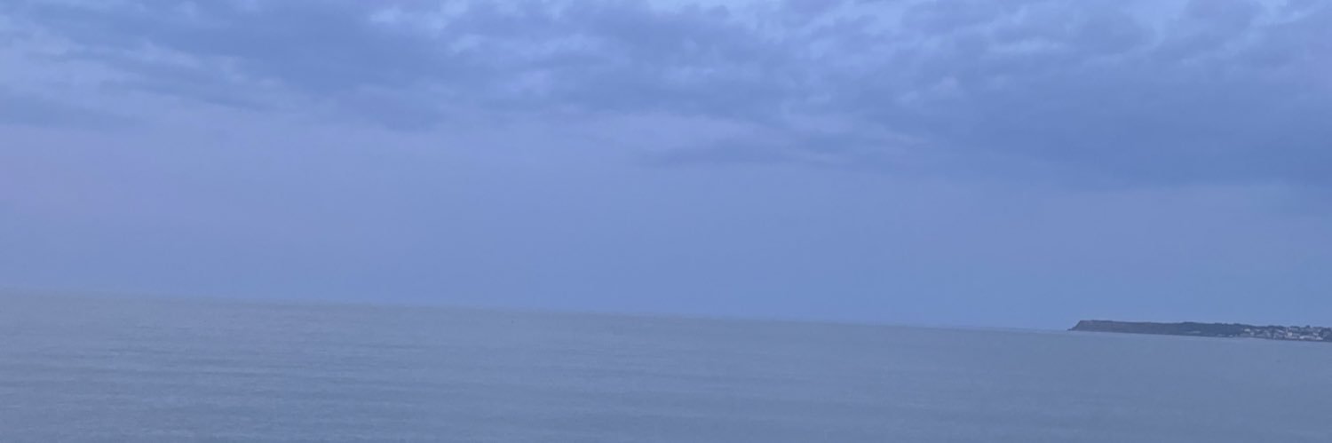Emily Victoria banner