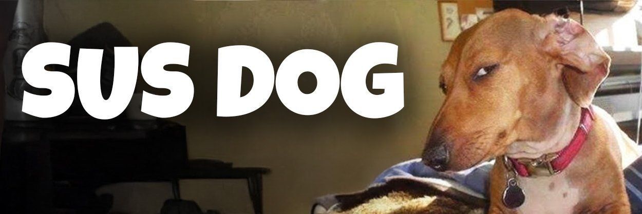 Sus Dog banner
