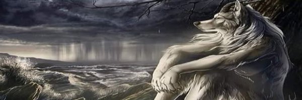 NAAUGO Profile Banner