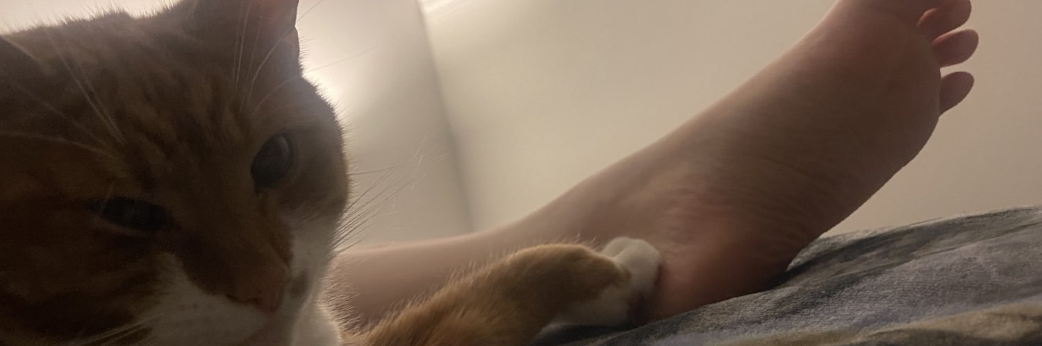 KittyFeetsies 🇨🇦 banner