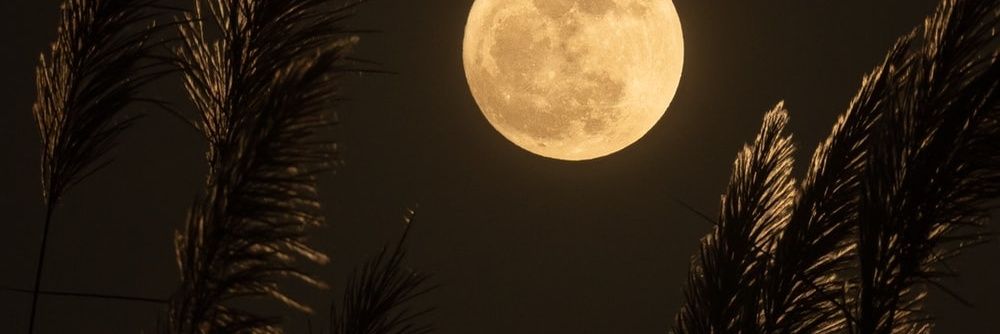 YudexRuiz's profile banner image