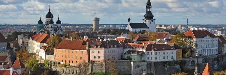 Estonia in Dublin banner