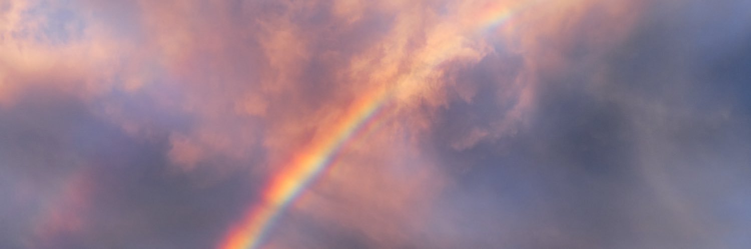 なこ banner