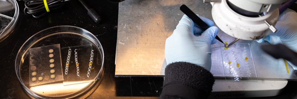 YangTanColl Profile Banner