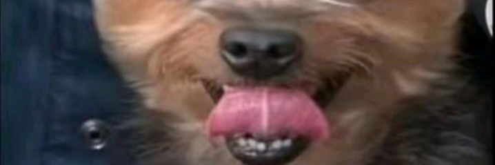 THUGNIFICE221's profile banner image