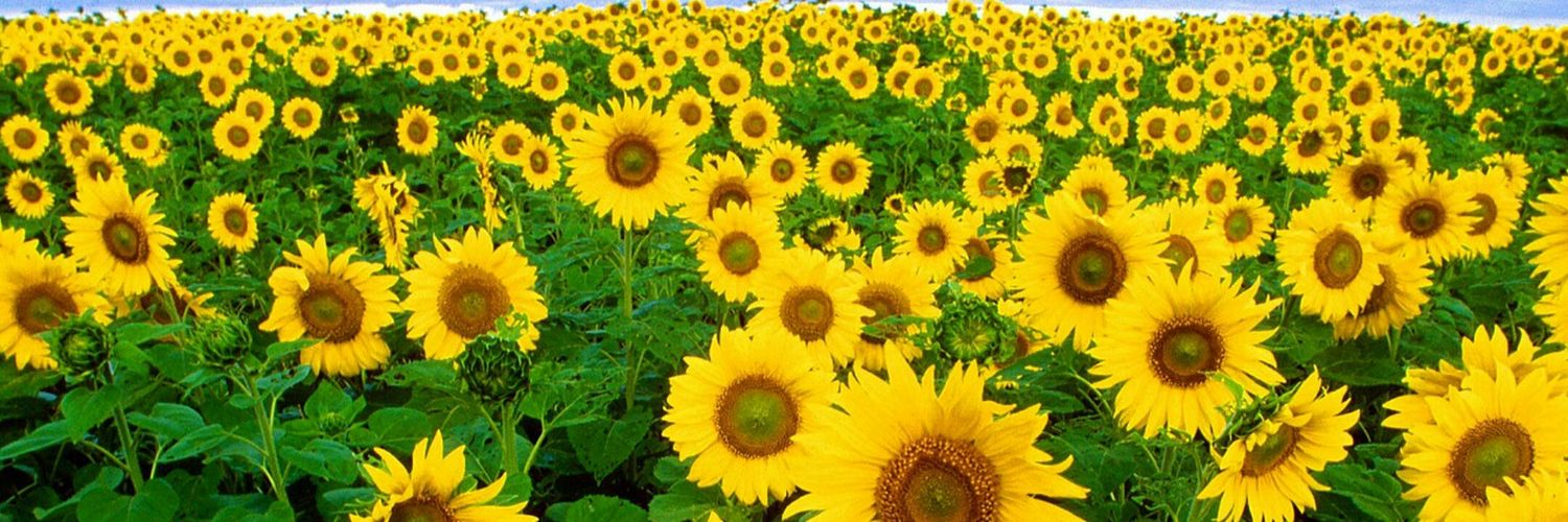 eymen_mert's profile banner image