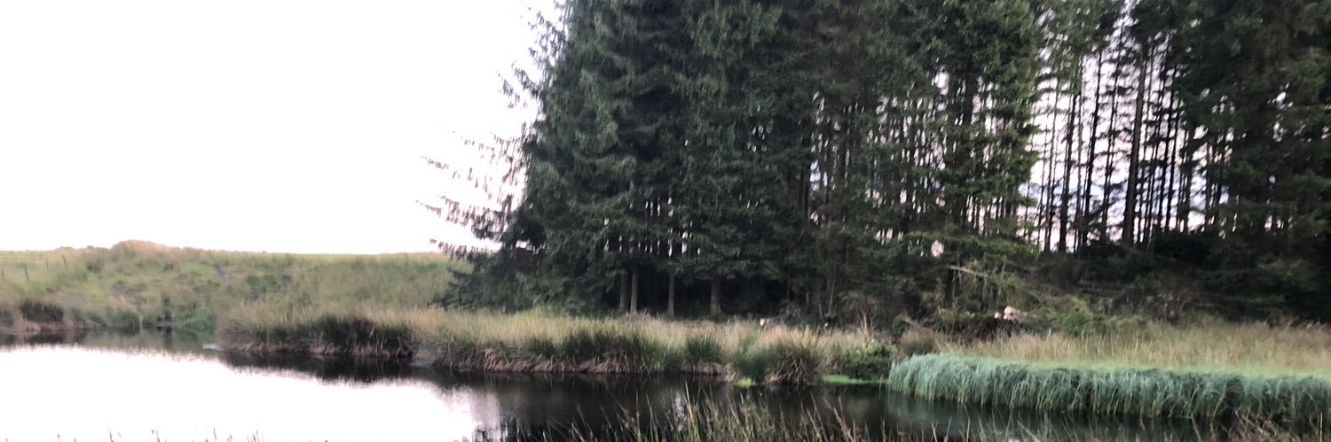 Doug Watson banner