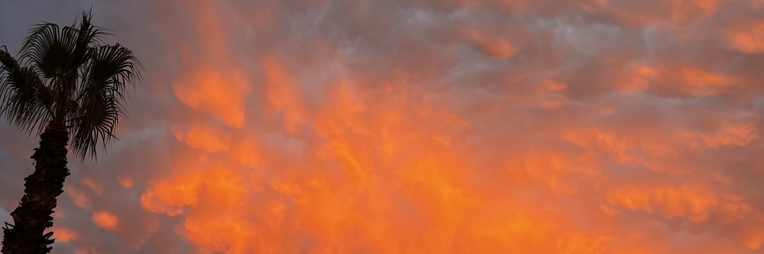 Lolita banner
