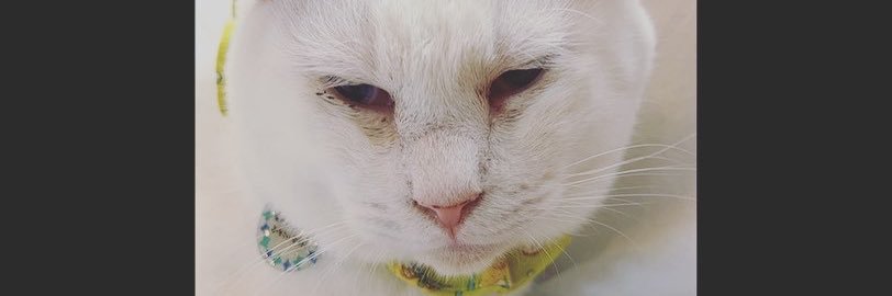 buff_ma's profile banner image