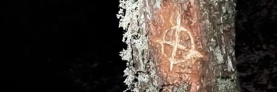 ℭ𝔯𝔬𝔴 ⦻ banner