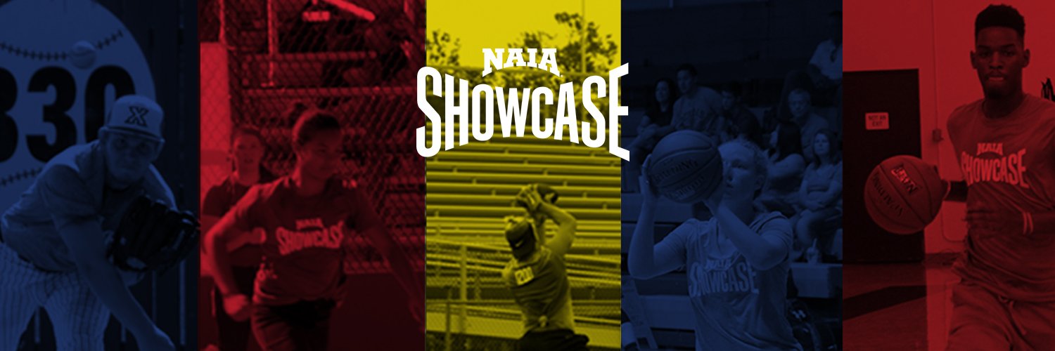 NAIAShowcase's profile banner image