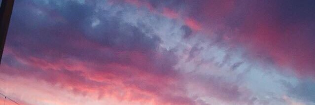 olivanovaaa's profile banner image
