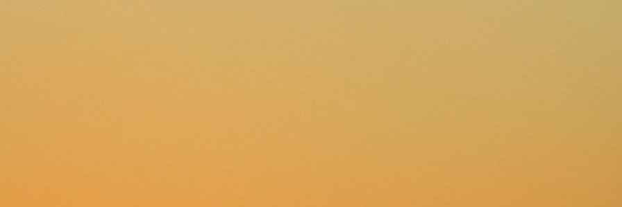 Philippe Franck banner