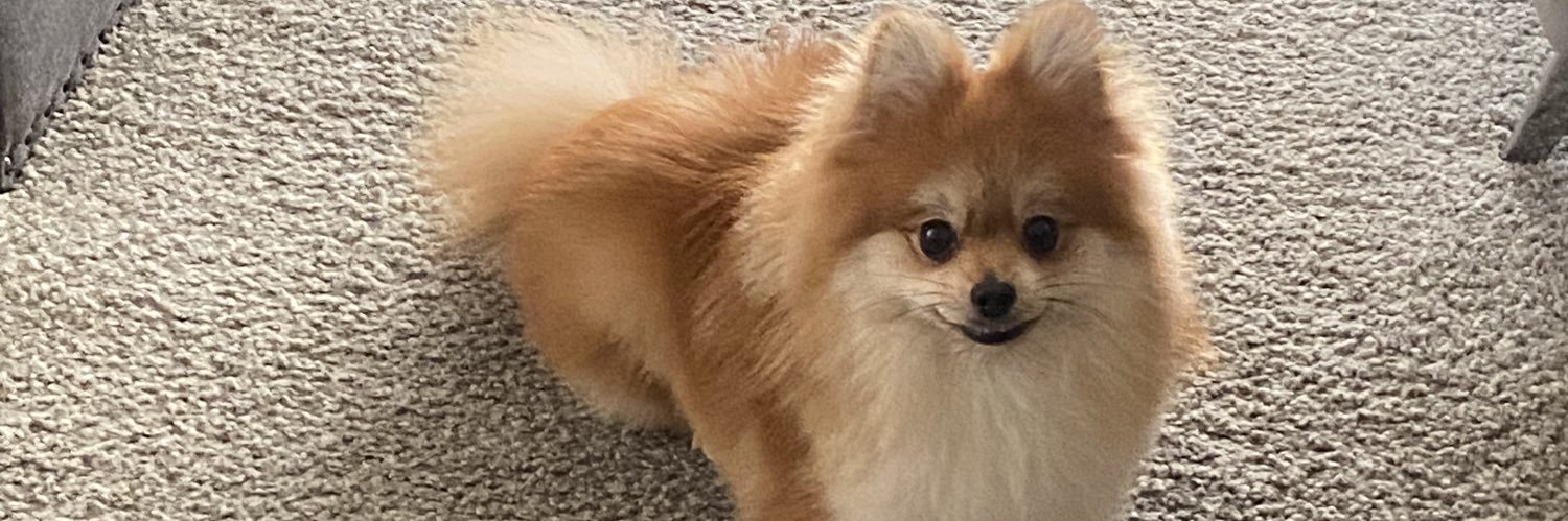 TruBlueTruth's profile banner image
