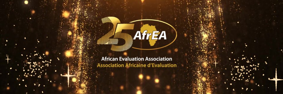 African Evaluation Association's banner