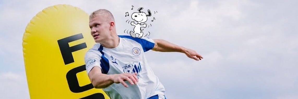 Brautcin's profile banner image