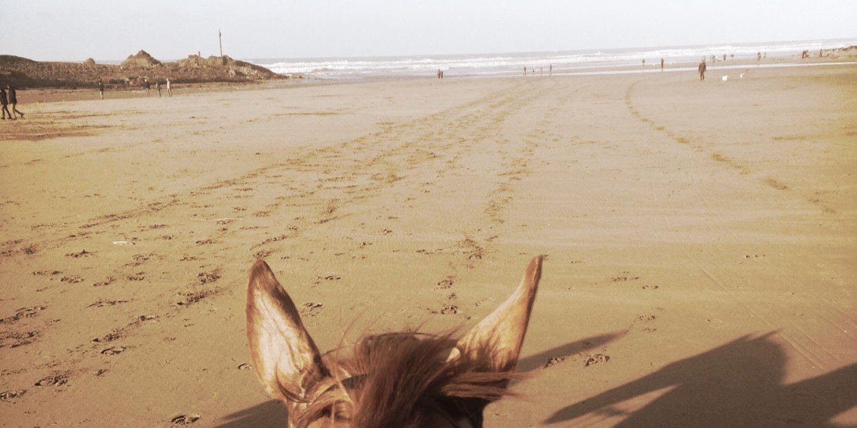 RosiePearce2's profile banner image