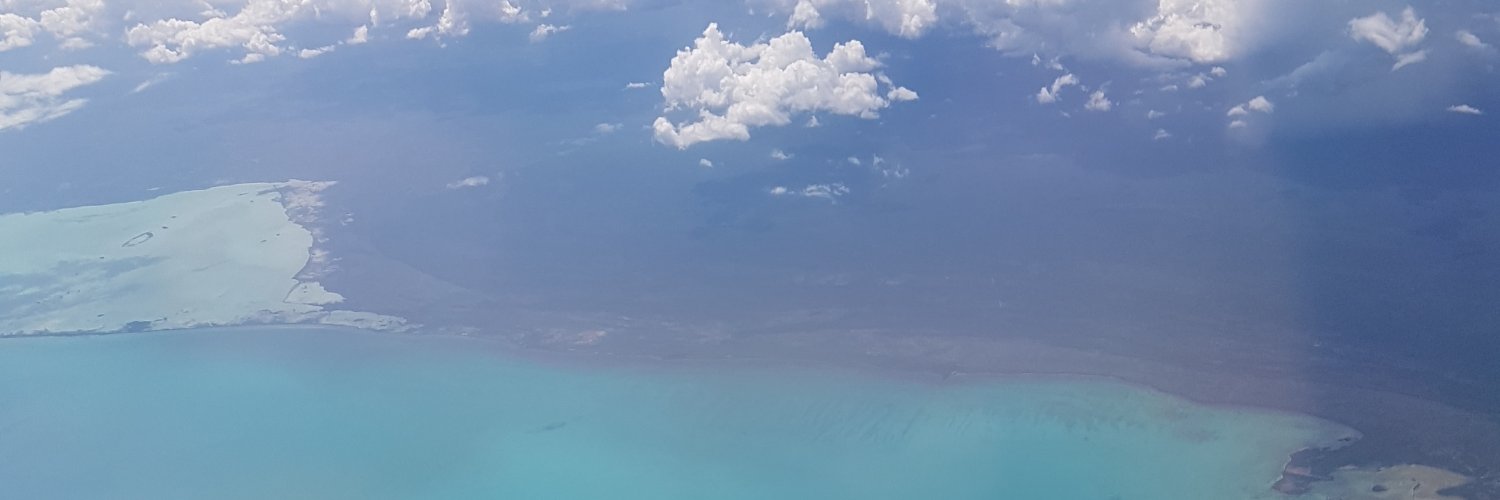 Alvaritosena's profile banner image