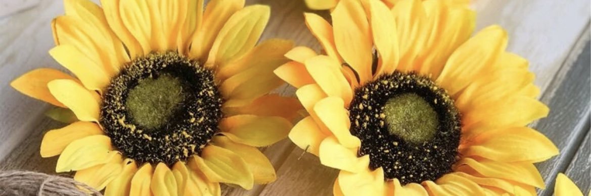 🌻 banner
