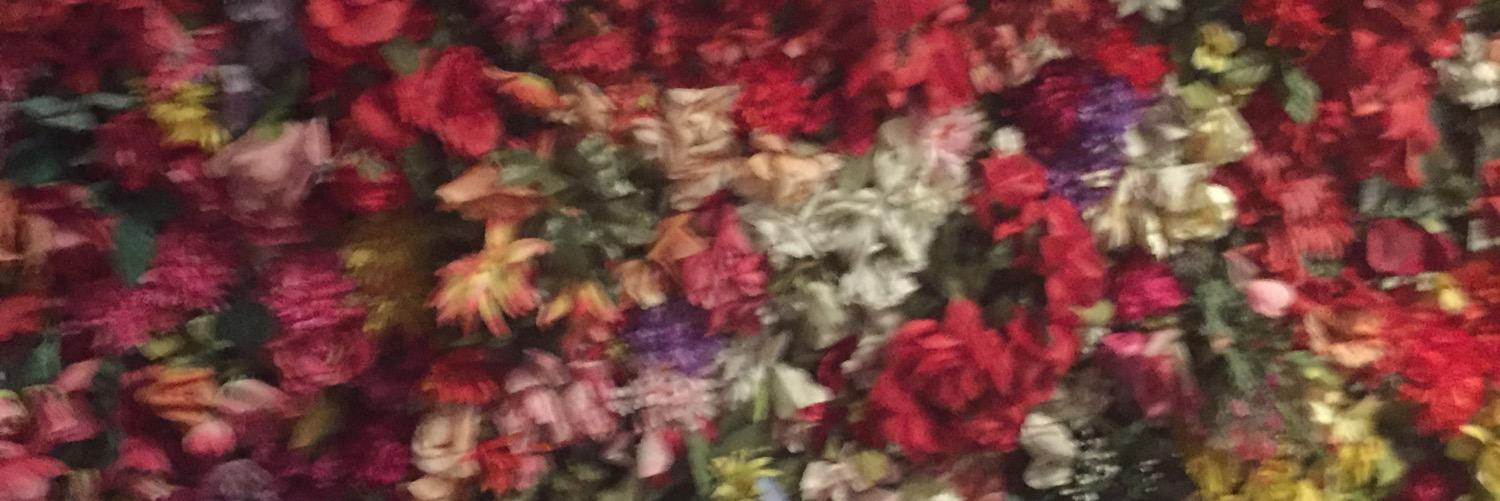 PrimaBella's profile banner image