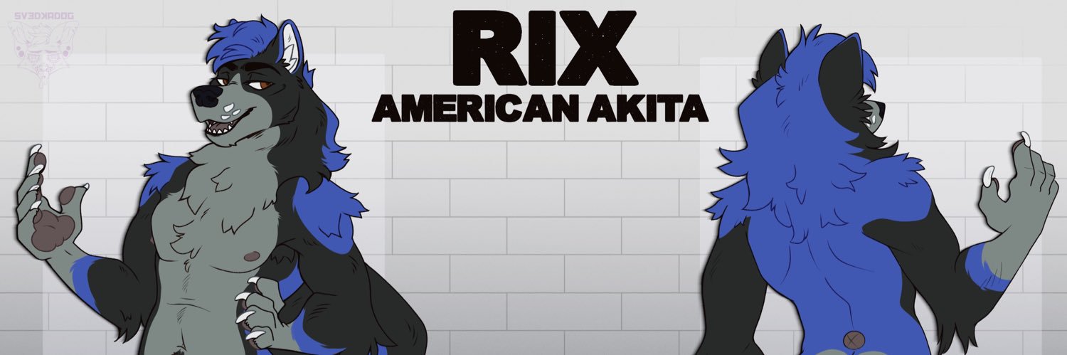 Pup_Rix ➡️ LVFC ‘26 banner