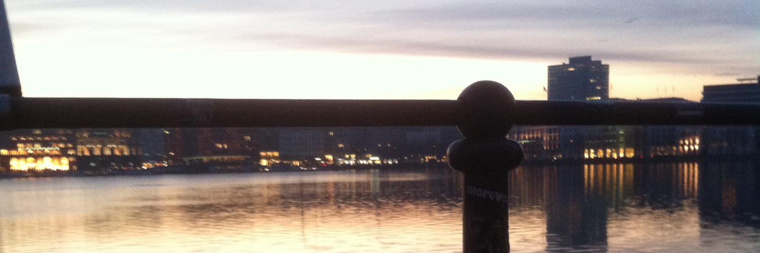 budge_laurin's profile banner image