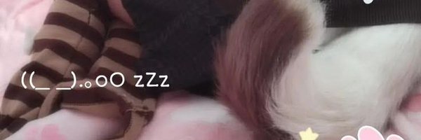 puppipaint Profile Banner