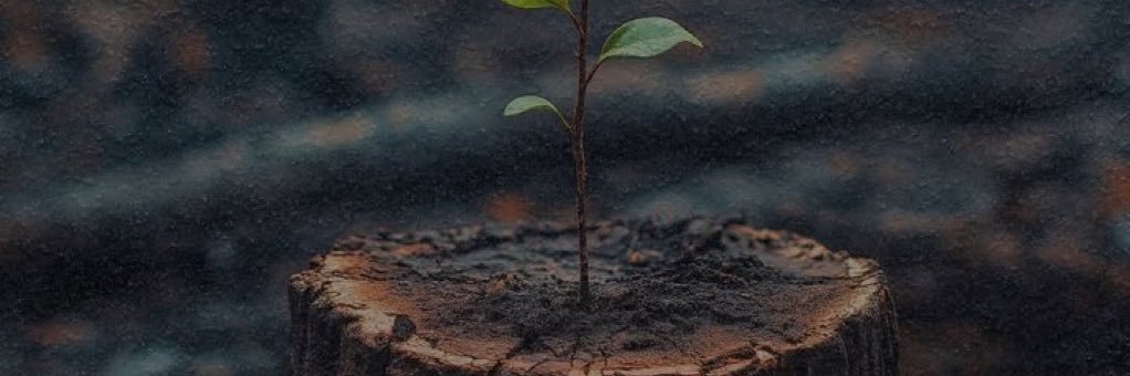 Mag 🌱→🌳 | Opérations & Process banner