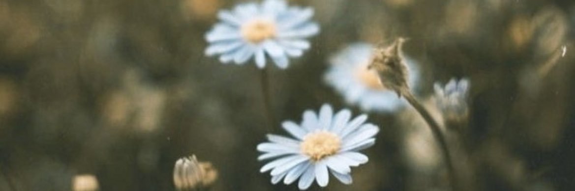 colonmiley's profile banner image