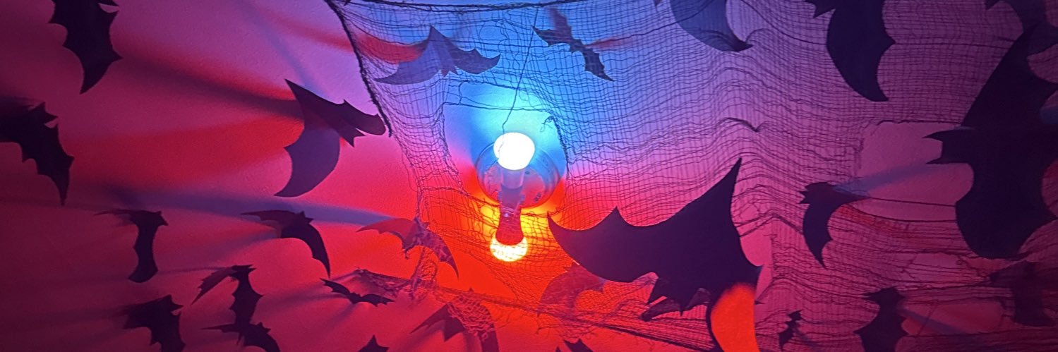 nemi! 🏳️‍⚧️ banner