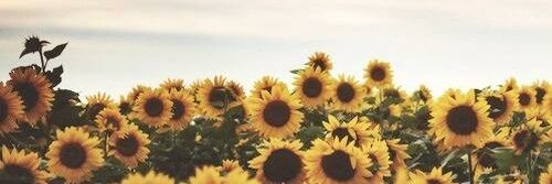 itsisaaa12's profile banner image