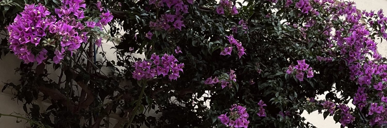 _giuliponce's profile banner image