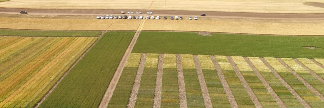 Agro Redes S.R.L. banner