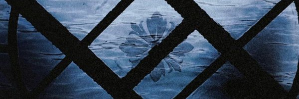 Starderella Profile Banner