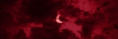 redmausoleum's profile banner image