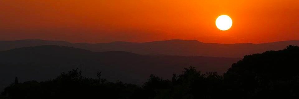 FredCusson's profile banner image