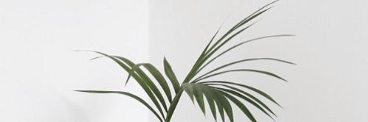 daibdmn's profile banner image