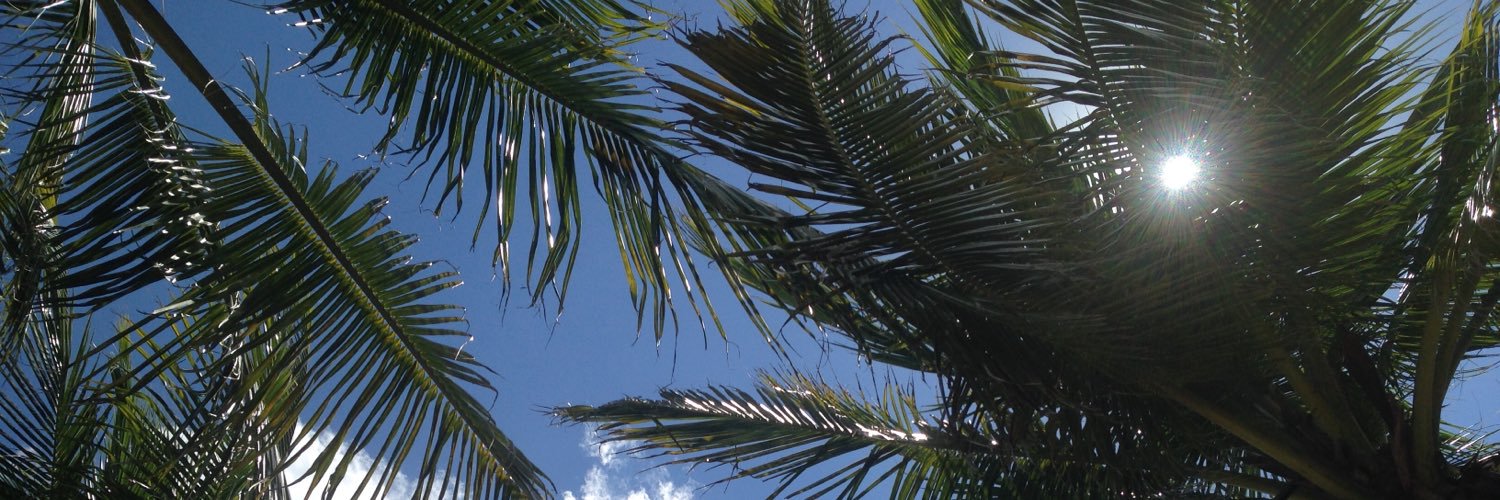 akromines's profile banner image