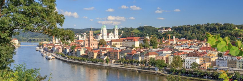 Michael Kasberger banner