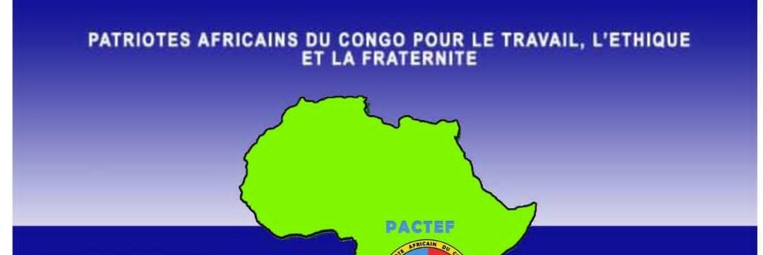 federations_pactef/les patriotes/USA🇺🇸 banner