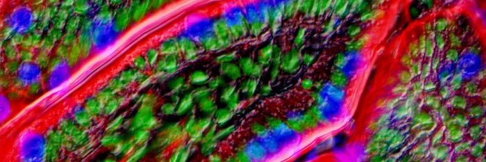 AdrienBertrand's profile banner image